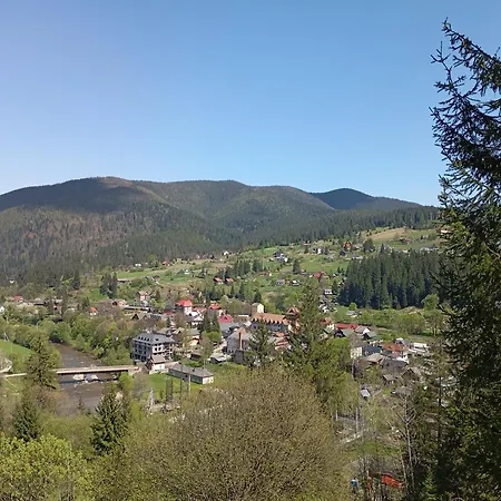 у кульбяка